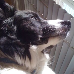 Meet your Posher, Jameson